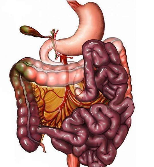腸息肉者，排便出現3個(gè)異常，十有八九息肉已變成“癌”